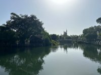 IMG_9487.jpeg