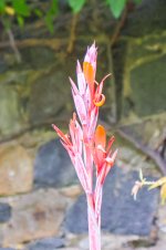 IMG_5299.jpg