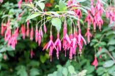 IMG_5303.jpg