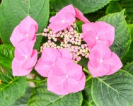 IMG_5318.jpg