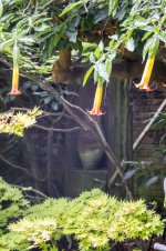 IMG_5345.jpg