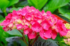 IMG_5362.jpg