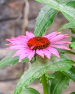 IMG_5434.jpg