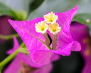 IMG_5451.jpg