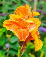 IMG_5475.jpg