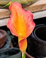 PXL_20250629_103326327~2.jpg
