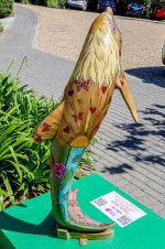 IMG_5501.jpg