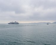 IMG_5513.jpg