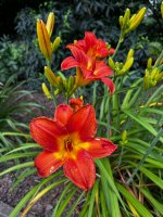 IMG_6313.jpeg