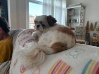 IMG_0326.jpeg