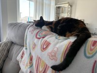 IMG_0338.jpeg