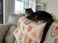 IMG_0351.jpeg
