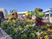 IMG_7080.jpeg