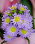 IMG_5569.jpg