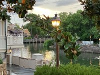 IMG_1601.jpg