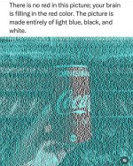 FB_IMG_1751909283386.jpg
