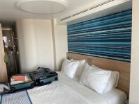 IMG_8229.jpeg