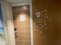 IMG_8255.jpeg