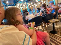 IMG_8377.jpeg