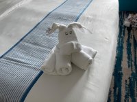IMG_8385.jpeg
