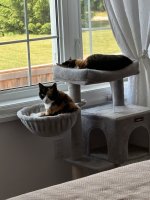 IMG_1459.jpeg
