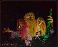 IMG_0572.jpeg