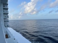 IMG_8507.jpeg