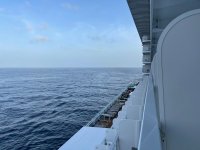 IMG_8509.jpeg