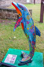 IMG_7811.jpg