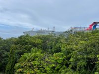 IMG_8795.jpeg