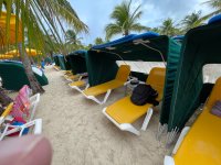 IMG_8844.jpeg