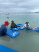 IMG_0449.jpeg IMG_0449.jpeg
