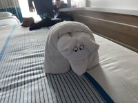 IMG_8911.jpeg