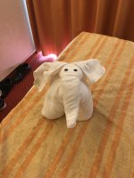 IMG_8532.jpeg