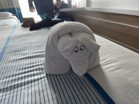 IMG_0288.jpeg