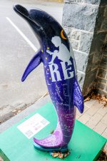 IMG_7957.jpg