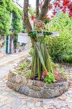 IMG_7853.jpg