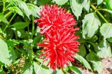 IMG_7848.jpg