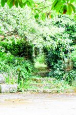 IMG_7882.jpg