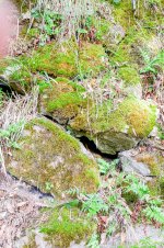IMG_7909.jpg