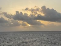 IMG_9032.jpeg