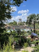 IMG_9135.jpeg