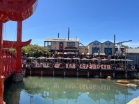 IMG_7659.jpeg