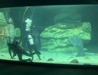 IMG_9248.jpeg