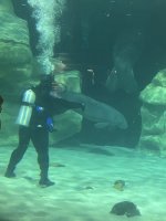 IMG_9249.jpeg