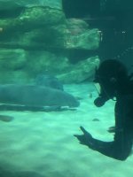 IMG_9255.jpeg