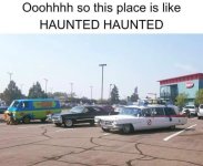 IMG_3139.jpeg