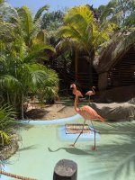 IMG_0084.jpeg
