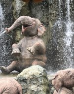 IMG_9313.jpeg