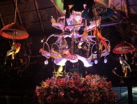 IMG_9374.jpeg